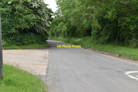 Photo 6"x4" Rural Hertfordshire lane Therfield c2021