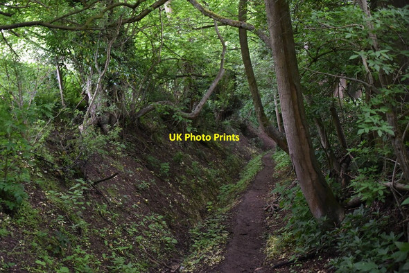 Photo 6"x4" Chain Walk Therfield c2021 P1