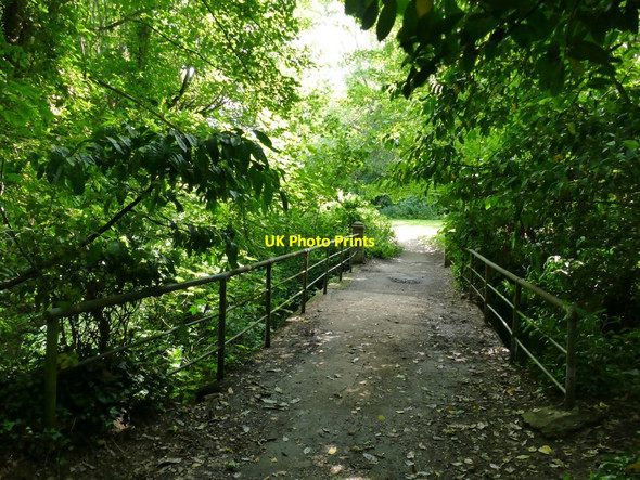 Photo 6"x4" Footbridge over Brown's Brook, Dawlish Dawlish c2021