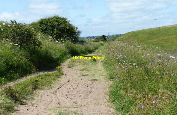 Photo 6"x4" Fife Coastal Path at Dumbarnie Links Drumeldrie c2019