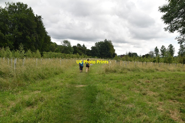Photo 6"x4" The Chiltern Way Skirmett c2021