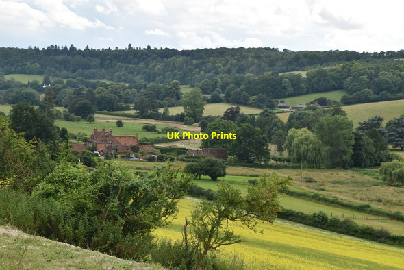Photo 6"x4" The Hambleden Valley Colstrope c2021