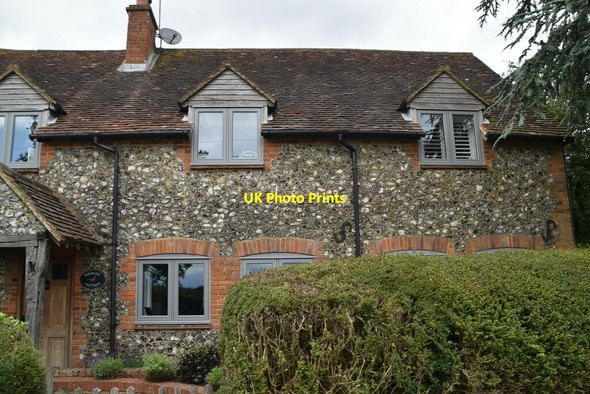 Photo 6"x4" Widmere Cottage Pheasants c2021