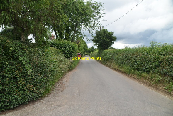 Photo 6"x4" Parmoor Lane Pheasants c2021
