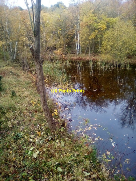 Photo 6"x4" Idyll in Grays Gorge Grays\/TQ6177 c2021