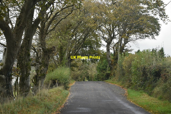 Photo 6"x4" Boho Rd Blacklion c2021