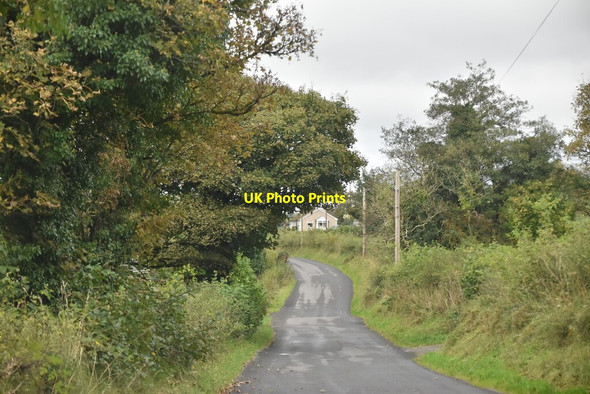 Photo 6"x4" Samsonagh Rd Boho c2021