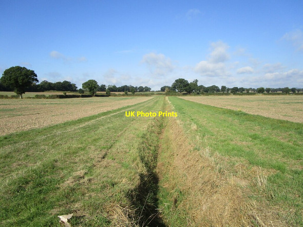Photo 6"x4" Drain near Staunton Court Sladbrook c2021
