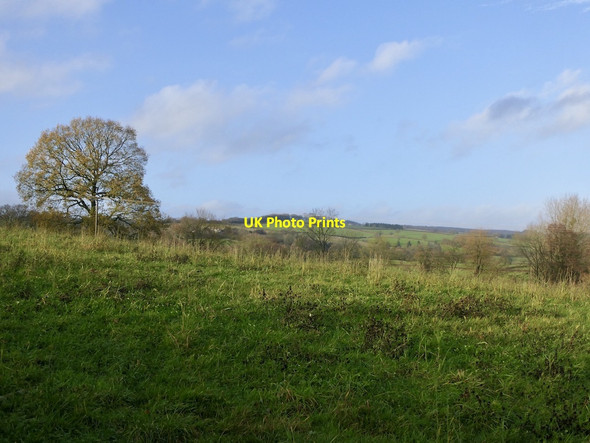 Photo 6"x4" Field above Orleton Orleton Common c2021