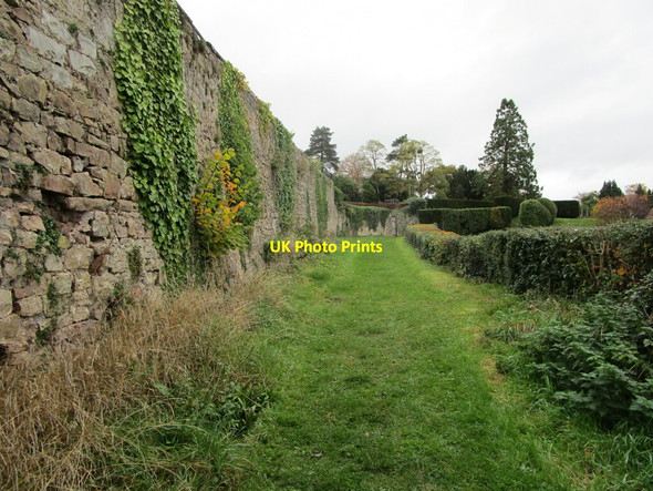 Photo 6"x4" Footpath at Tidenham Chepstow\/Cas-Gwent c2021