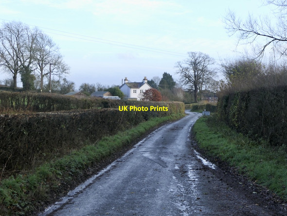 Photo 6"x4" Green Lane, Orleton Ashley Moor c2021