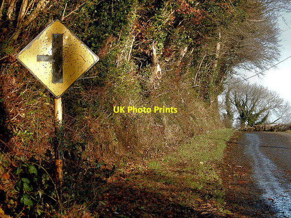 Photo 6"x4" Target Practice Kilmangah c2021