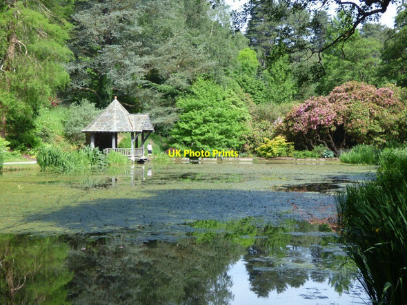 Photo 6"x4" Across the Skating Pond to the Boathouse Tal-y-cafn c2018