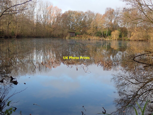 Photo 6"x4" Pool in New Earswick Nature Reserve New Earswick c2021