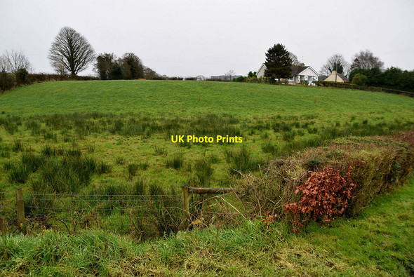 Photo 6"x4" Rushy ground, Ballygowan Omagh c2021