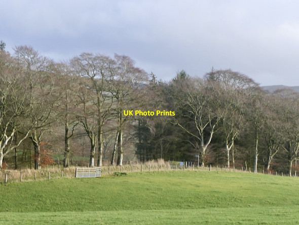 Photo 6"x4" Stripwood and road, Callands Bordlands c2021