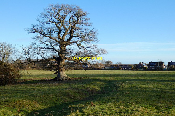 Photo 6"x4" Pasture, Bentworth Bentworth c2021