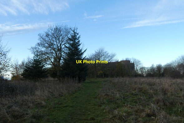 Photo 6"x4" Path to the water tower Heslington c2021