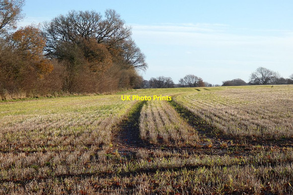 Photo 6"x4" Farmland, Bentworth Bentworth c2021