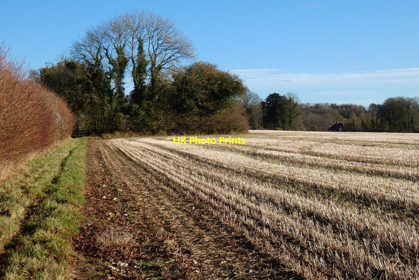 Photo 6"x4" Farmland, Shalden Alton\/SU7139 c2021