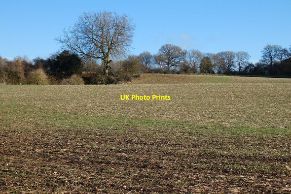Photo 6"x4" Farmland, Lasham Shalden Green c2021