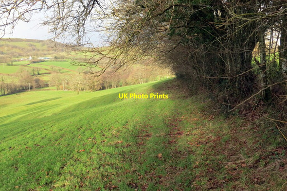 Photo 6"x4" Llwybr Ty Gwyn \/ Ty Gwyn path Cwmdu\/SN6330 c2021