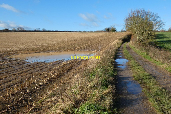 Photo 6"x4" Farmland, Herriard Nashes Green c2021