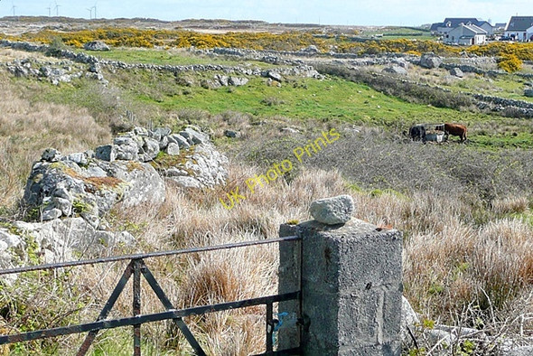 Photo 6"x4" An Lough\u00c3\u00a1n Beag (Loughaunbeg) Loughaunbeg c2009