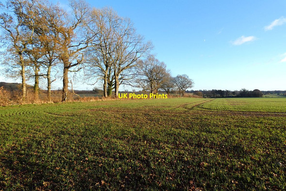 Photo 6"x4" Farmland, Bentworth Bentworth c2021
