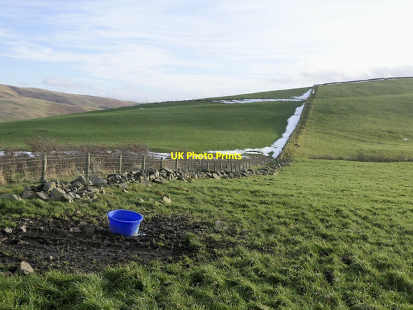 Photo 6"x4" On Henderland Hill Bordlands c2021