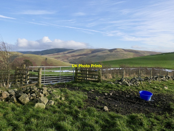 Photo 6"x4" Gate on Henderland Hill Bordlands c2021