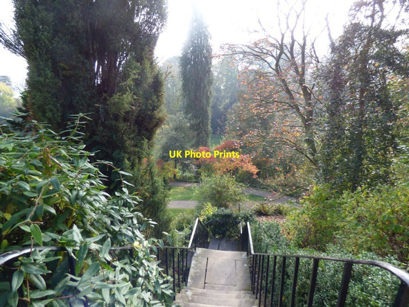 Photo 6"x4" Steps down to lower terrace Powis Castle Welshpool\/Y Trallwng c2018