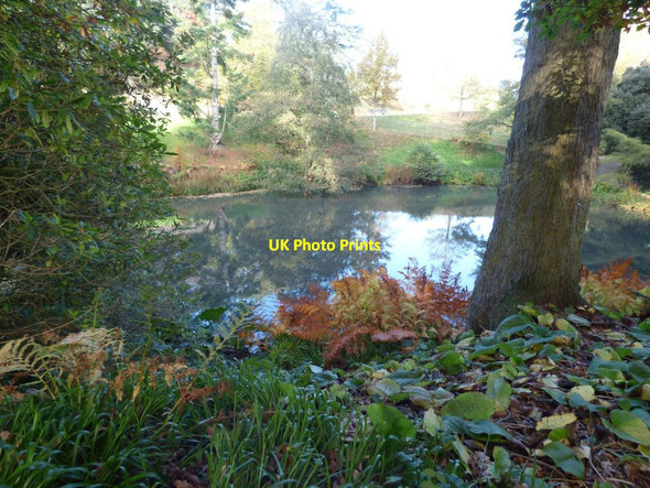 Photo 6"x4" The Stable pond Welshpool\/Y Trallwng c2018