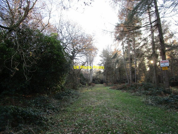 Photo 6"x4" Track in Hawdin's Wood Norton Disney c2021