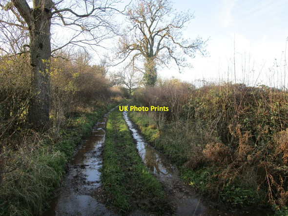 Photo 6"x4" Very wet bridleway near Owston Owston\/SK7707 c2021