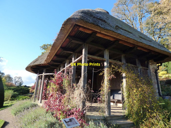 Photo 6"x4" The Hawk House Bronygarth c2018