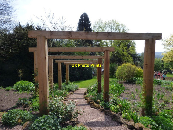 Photo 6"x4" Wooden Arches Aston\/SJ7541 c2019