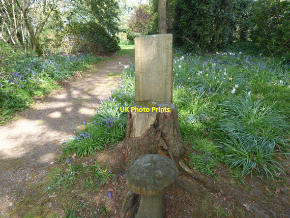 Photo 6"x4" Seat and mushroom Aston\/SJ7541 c2019