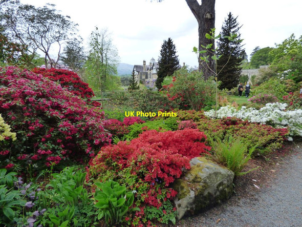 Photo 6"x4" Bodnant Hall Tal-y-cafn c2019