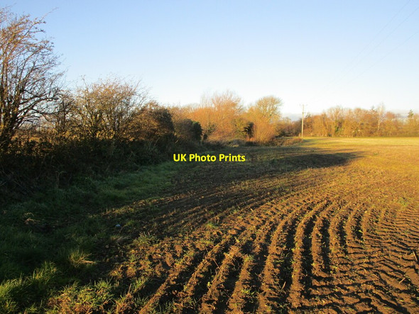 Photo 6"x4" Autumn sown crop off Stonepit Lane, Marston Hougham c2021