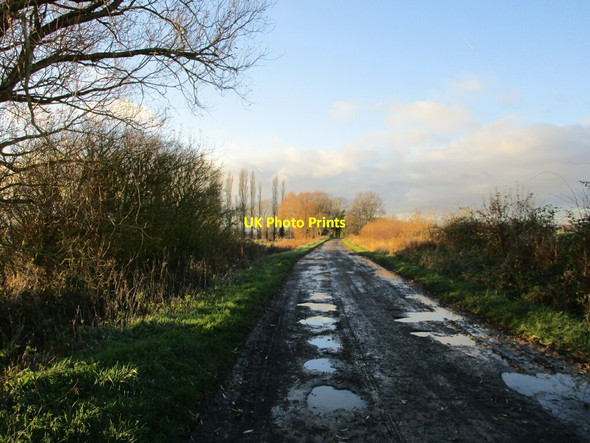 Photo 6"x4" Frickley Lane Hougham c2021
