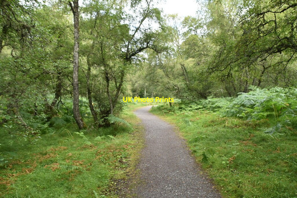 Photo 6"x4" Speyside Way Kincraig\/NH8305 c2021