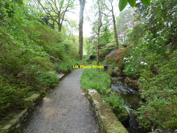 Photo 6"x4" Stream side path Tal-y-cafn c2019