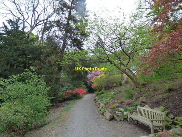 Photo 6"x4" Bench by the path Tal-y-cafn c2019