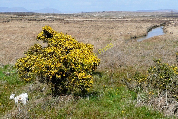 Photo 6"x4" An Tulaigh Mh\u00c3\u00b3r (Tullaghmore) Cartron c2009