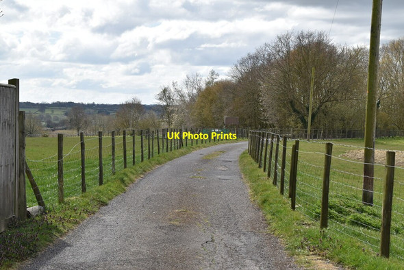Photo 6"x4" Track to Hongland Tenterden c2021