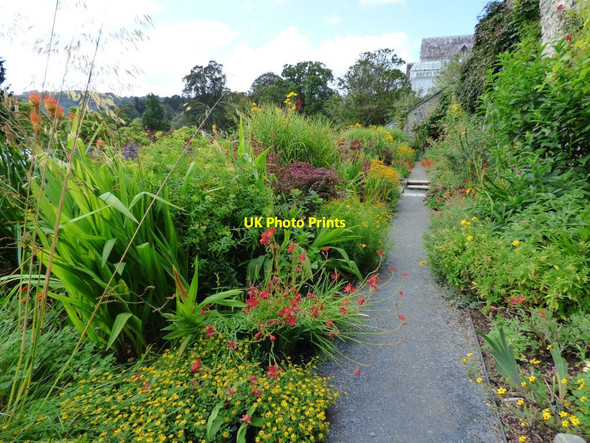 Photo 6"x4" The Hot border Brymbo\/SH8071 c2019