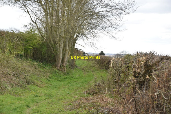 Photo 6"x4" Footpath to the Reading Sewer Bulleign c2021