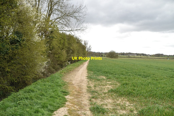 Photo 6"x4" Field edge footpath Bulleign c2021