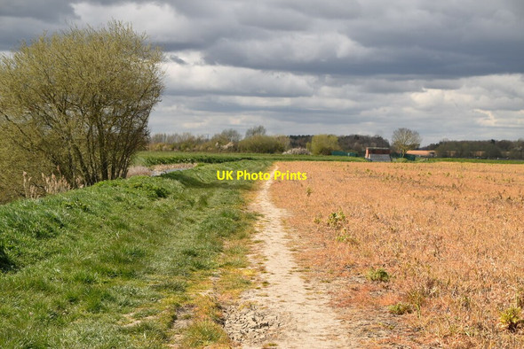 Photo 6"x4" Footpath by Reading Sewer Peening Quarter c2021